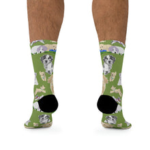 Load image into Gallery viewer, Hava Havanese Recycled Poly Socks