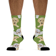 Load image into Gallery viewer, Hava Havanese Recycled Poly Socks