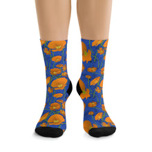 Load image into Gallery viewer, California Poppies Recycled Poly Socks