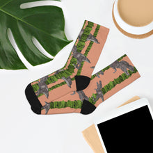 Load image into Gallery viewer, Recycled Poly Socks
