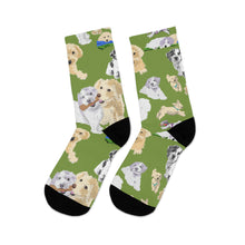 Load image into Gallery viewer, Hava Havanese Recycled Poly Socks
