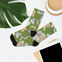 Load image into Gallery viewer, Hava Havanese Recycled Poly Socks
