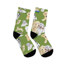 Load image into Gallery viewer, Hava Havanese Recycled Poly Socks

